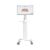 Aidite Bundle: Rapid 5 Intraoralscanner Wired & Economic Cart Workstation 2K All-in-One